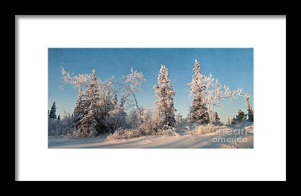 Midnight Dome Framed Print featuring the photograph Wintery by Priska Wettstein