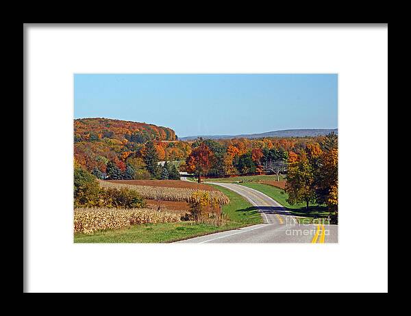 Color Framed Print featuring the photograph Wisconsin's Fall Color by Joan McArthur