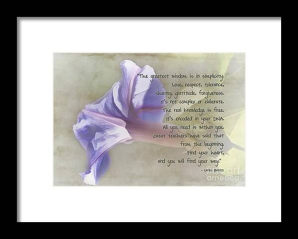 Gratitude Framed Print featuring the photograph Wisdom by Peggy Hughes