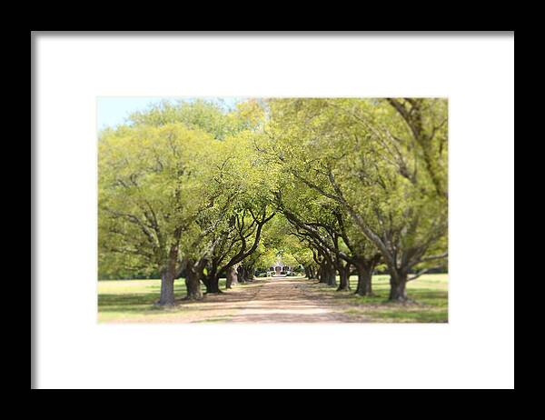 Delta Framed Print featuring the photograph Wister Gardens Belzoni by Karen Wagner