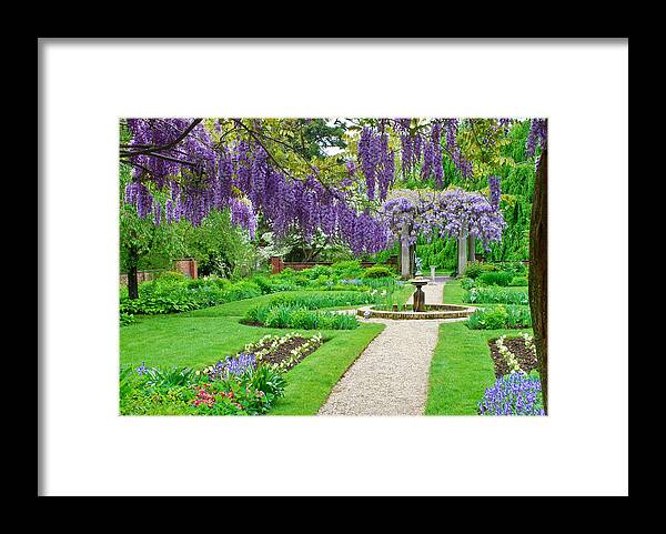 Flowers Framed Print featuring the photograph Wisteria Bloom by Michael Hubley