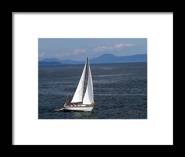 White Sail Boat Framed Print featuring the photograph With the Wind by Kae Cheatham