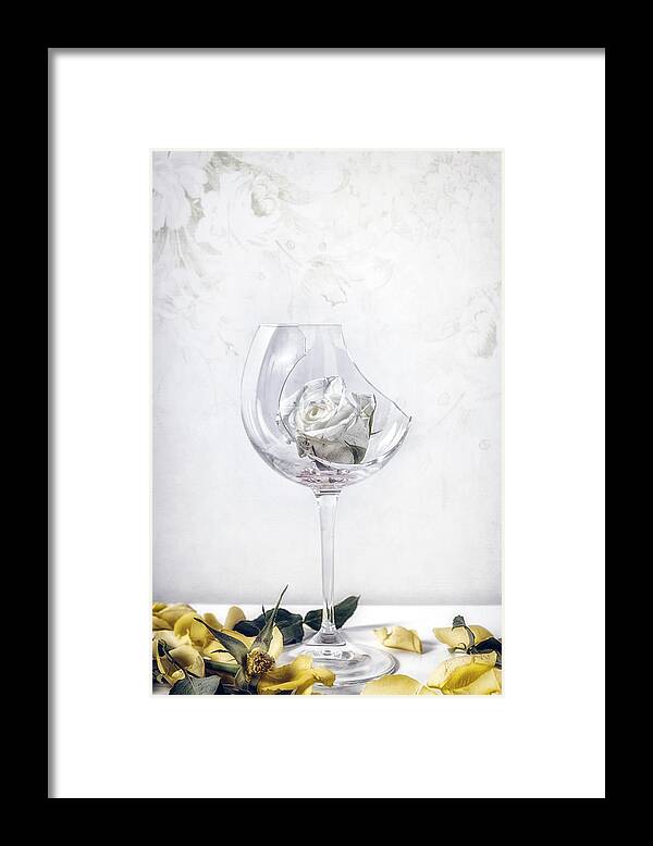 Rose Framed Print featuring the photograph Withered White Rose by Joana Kruse