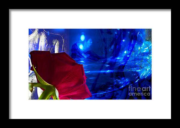 Woman Framed Print featuring the photograph Women in Love with red Rose by Eva-Maria Di Bella