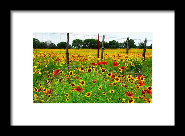 Wildflowers Framed Print featuring the photograph Wonderful Wildflowers by Lynn Bauer