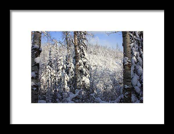 Snow Framed Print featuring the photograph Wonderland by Jim Sauchyn