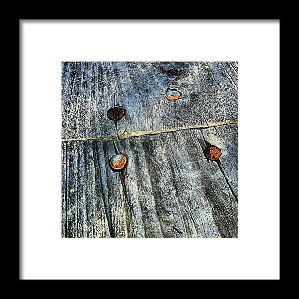 Texturetastic Framed Print featuring the photograph Wood / Rusty Nails by Elisa Franzetta