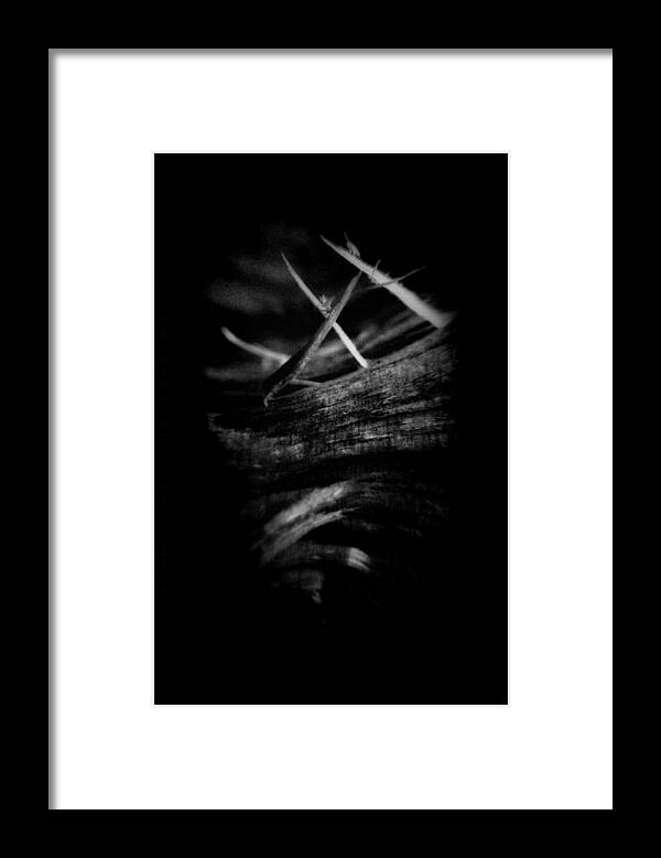 Wood Framed Print featuring the photograph Wood Art 01 by Mimulux Patricia No
