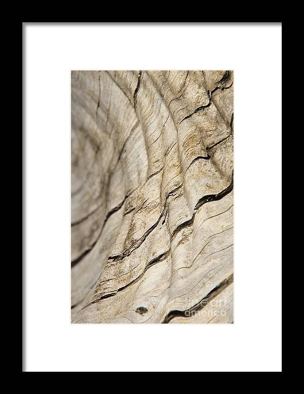 Hardwood Framed Print featuring the photograph Wood Grain Grunge and Texture by Andries Alberts