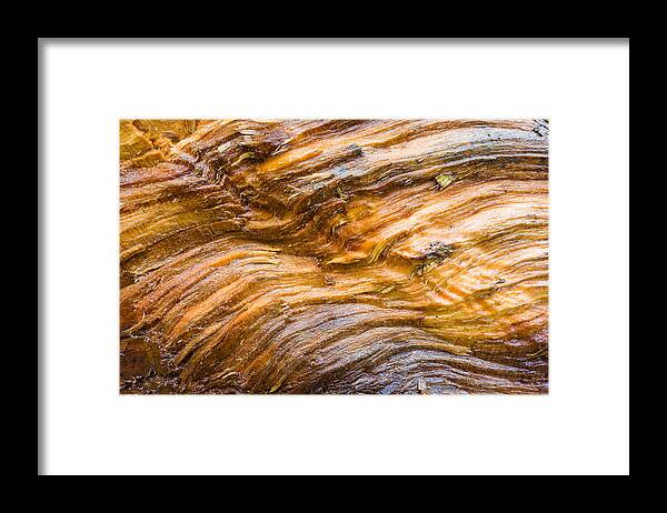 Wood Framed Print featuring the photograph Wood structure closeup brown beige orange by Matthias Hauser