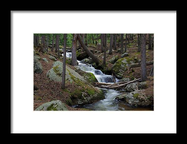 Chicago Creek Framed Print featuring the photograph Wooded Stream by Matt Helm