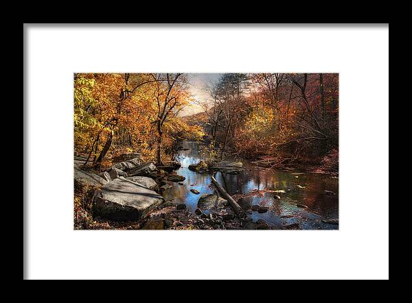 Acadia Park Framed Print featuring the photograph Woodland Autumn by Robin-Lee Vieira