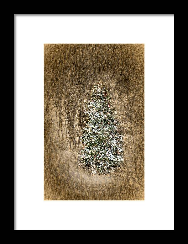 Christmas Framed Print featuring the mixed media Woodland Christmas by John Haldane