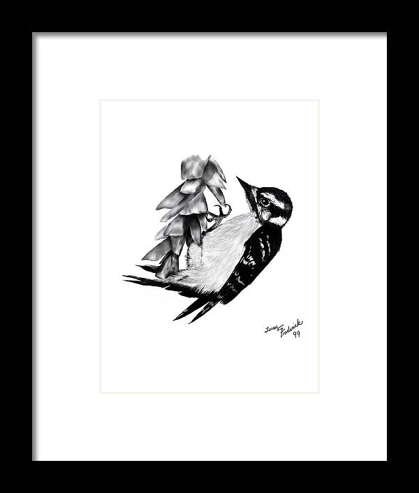 Downy Woodpecker Framed Print featuring the digital art Downy Woodpecker by Terry Frederick