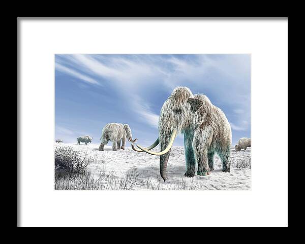 Horned Framed Print featuring the digital art Woolly Mammoths, Artwork by Science Photo Library - Leonello Calvetti