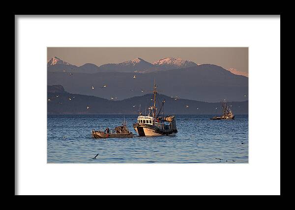 Silver Totem Framed Print featuring the photograph Working the Nets by Randy Hall