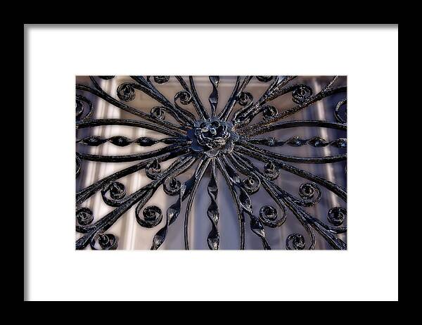 Wrought Iron Framed Print featuring the photograph Wrought Iron Savannah by Henry Kowalski