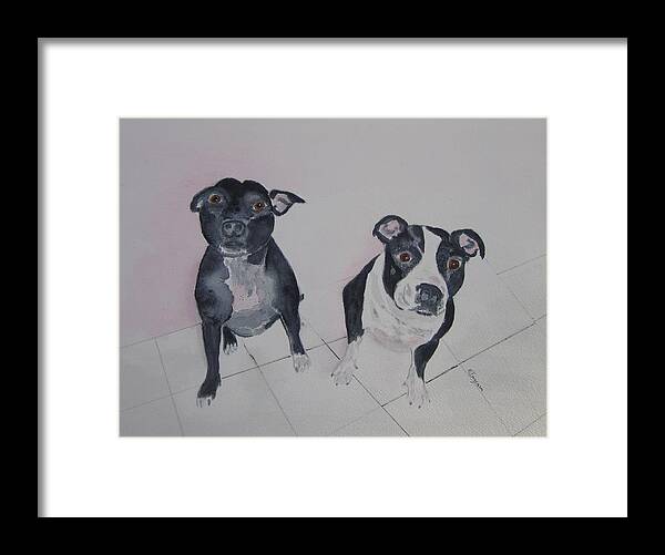 Dogs Framed Print featuring the painting Are you looking at me by Elvira Ingram