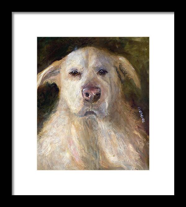 Pet Portrait Framed Print featuring the painting Yafah by Patricia Trudeau