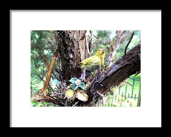 Woods Framed Print featuring the photograph Yellow Bird by Peggy King
