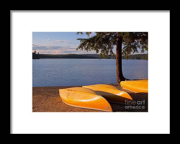 Canoe Framed Print featuring the photograph Yellow Canoes in Late Afternoon by Barbara McMahon
