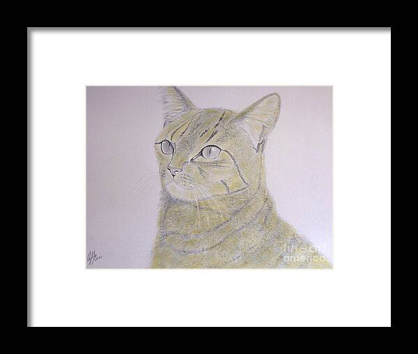 Cat Framed Print featuring the drawing Yellow Cat by Cybele Chaves
