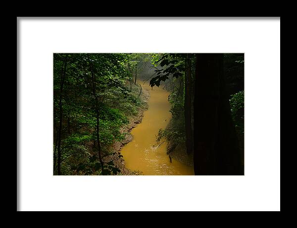  Cedar Sink Creek Framed Print featuring the photograph Hidden Cedar SInk Creek by Stacie Siemsen