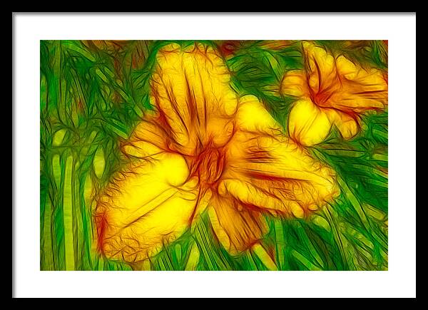 Abstract Framed Print featuring the painting Yellow Day Lilies by Omaste Witkowski