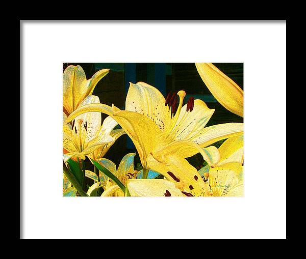 Lily Framed Print featuring the photograph Yellow Lilies by Claire Bull