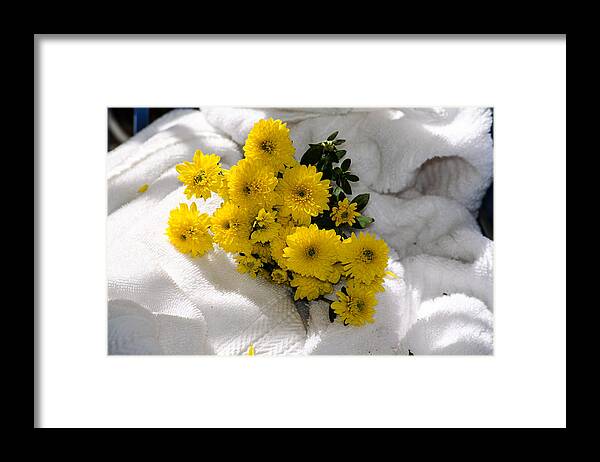  Framed Print featuring the photograph Yellow Mums by Martina Schmidt
