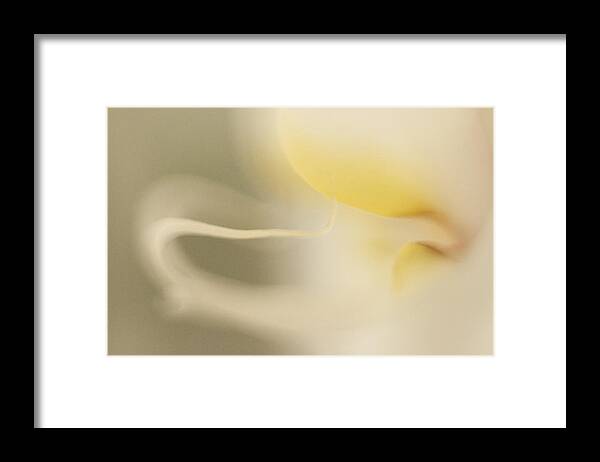 Yellow Framed Print featuring the photograph Yellow Orchid Abstract by Bradley R Youngberg