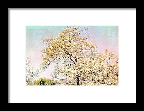 Dreamy Yellow Nature Trees Framed Print featuring the photograph Yellow Pink Nature Trees - Dreamy Fantasy Surreal Yellow Pink Golden Trees Nature Landscape by Kathy Fornal