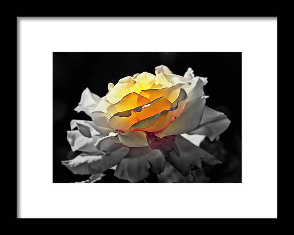 Flowers Framed Print featuring the digital art Yellow Rose Series - ...But soul is alive by Lilia D