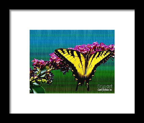 Texture Framed Print featuring the photograph Yellow Swallowtail Butterfly by Carol F Austin