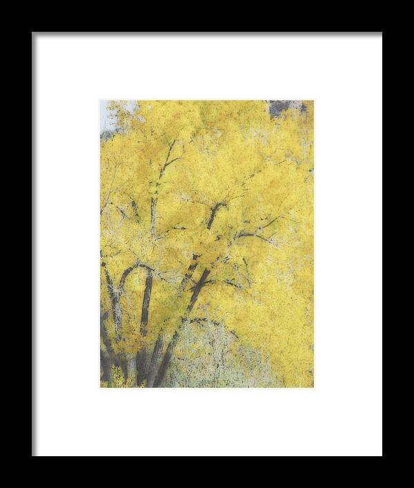 Tree Framed Print featuring the digital art Yellow Trees by Ann Powell