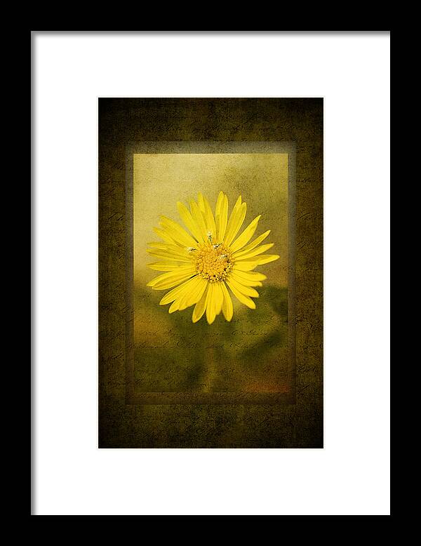 Photomorphis Framed Print featuring the photograph Yellow Wildflower by Melinda Dreyer