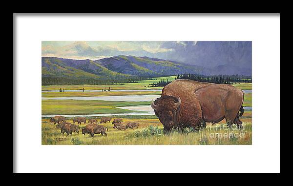 Western Buffalo Framed Print featuring the painting Yellowstone Bison by Robert Corsetti
