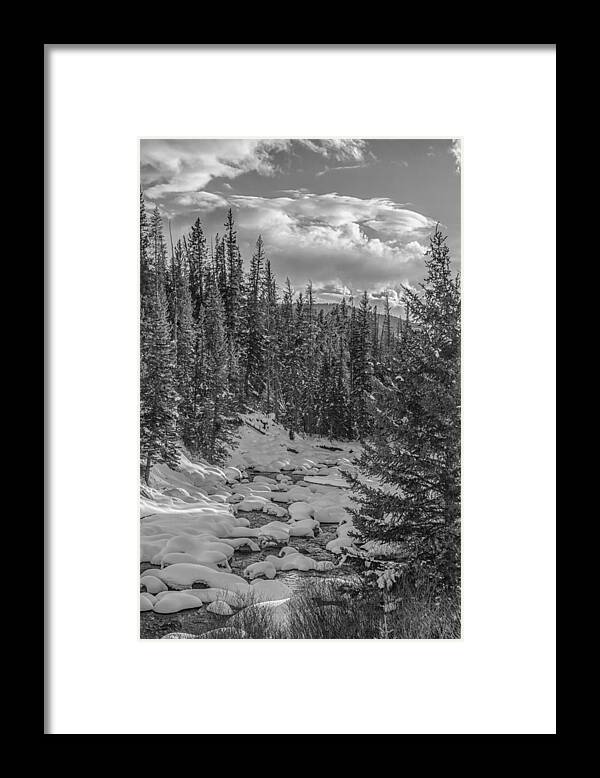 Black And White Framed Print featuring the photograph Yellowstone Snow Pillows by Jared Perry 