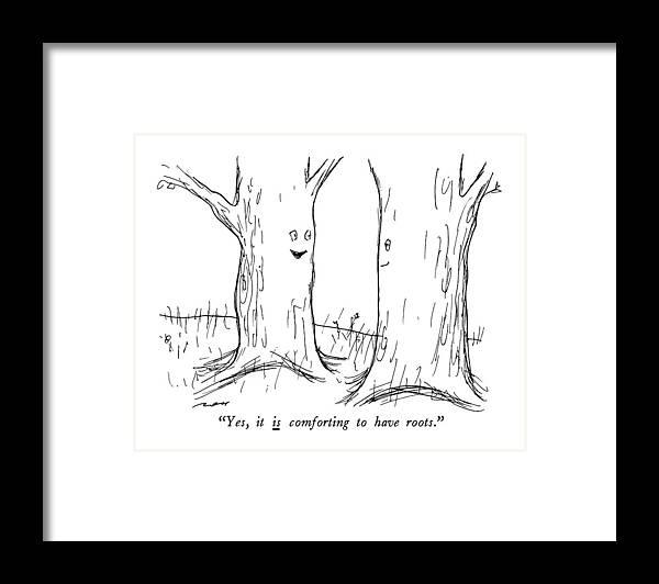 

 One Tree To Another. 
Nature Framed Print featuring the drawing Yes, It Is Comforting To Have Roots by Al Ross