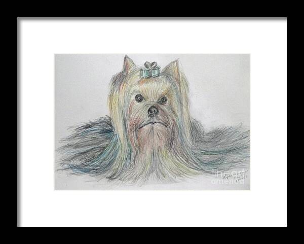 Animal Framed Print featuring the drawing Yorkie by Lyric Lucas