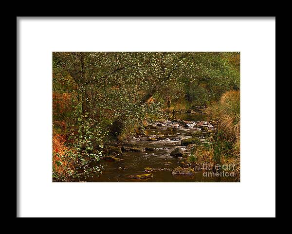 Stream Framed Print featuring the photograph Yorkshire Moors Stream in Autumn by Martyn Arnold