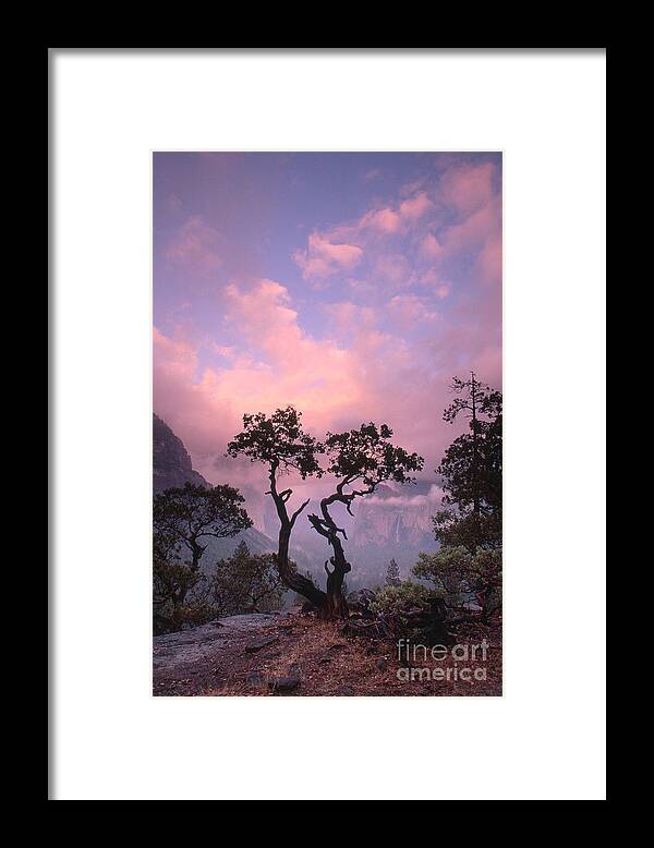 Scenic Framed Print featuring the photograph Yosemite National Park by George Ranalli