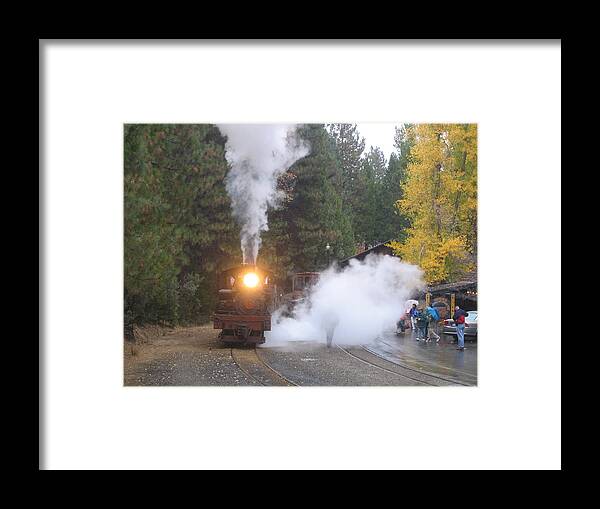 Train Framed Print featuring the photograph Yosemite Train Ride by Duwayne Williams