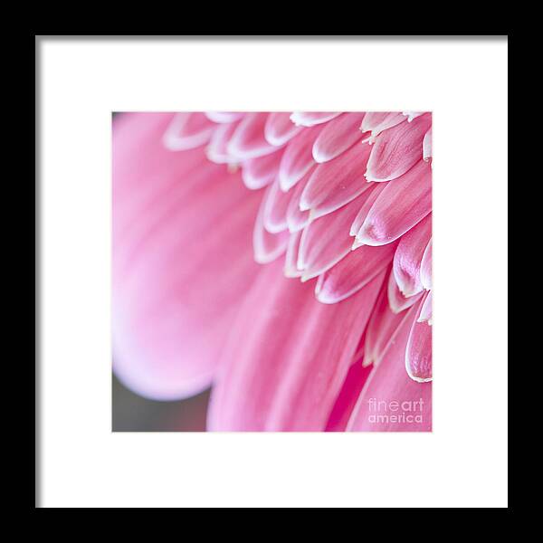 Photography Framed Print featuring the photograph You took my breath away by Ivy Ho