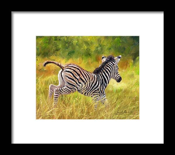 Zebra Framed Print featuring the painting Young Zebra by David Stribbling
