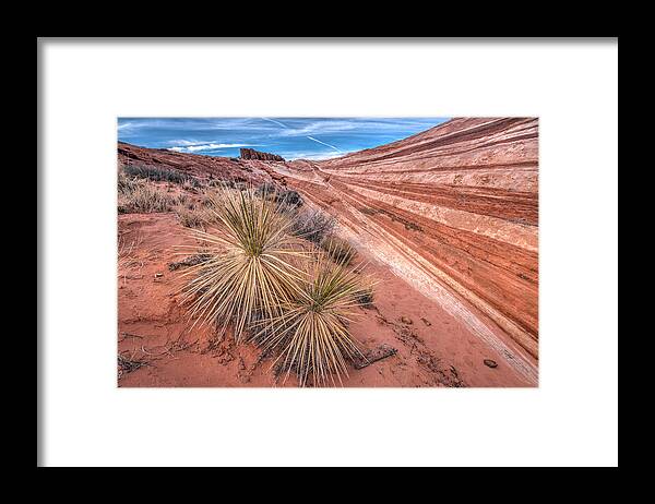 Canyon Framed Print featuring the photograph Yucca Valley by Peter Tellone