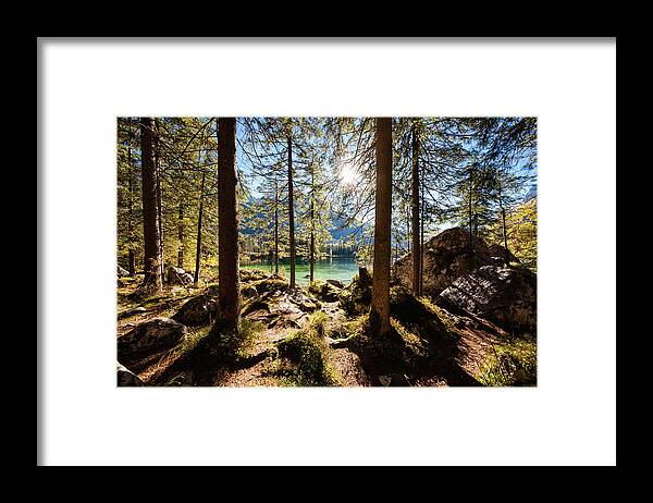 Tranquility Framed Print featuring the photograph Zauberwald In Autumn by Jorg Greuel