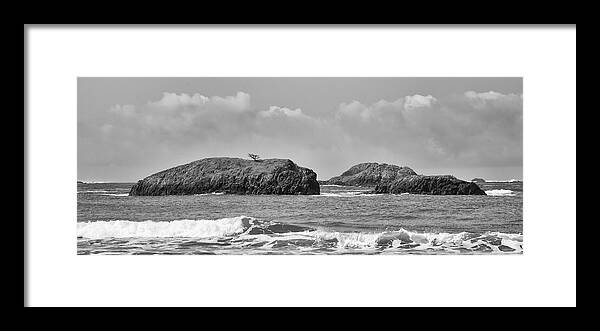 Tofino Framed Print featuring the photograph Zen Rocks Black and White by Allan Van Gasbeck