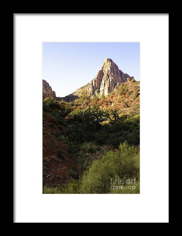 Mountains Framed Print featuring the photograph Zion Landscape by Richard J Thompson 