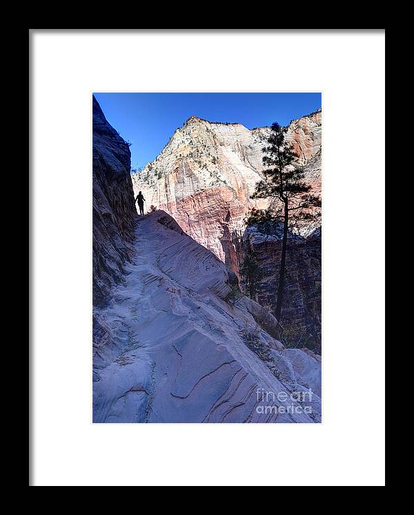 Zion National Park Framed Print featuring the photograph Zion National Park Hiker Climbs Hidden Canyon Trail by Gary Whitton